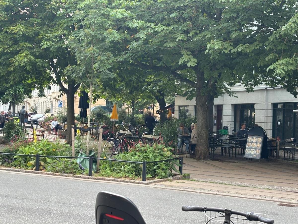 Beautiful With A Private Rooftop Terrace * København